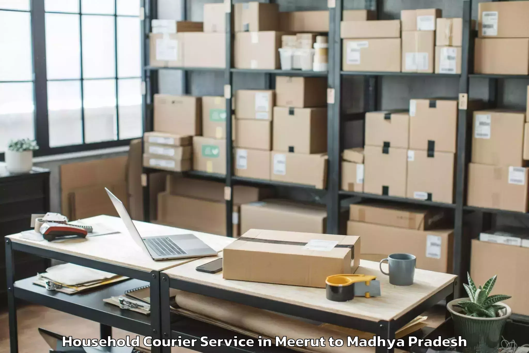 Quality Meerut to Sailana Household Courier